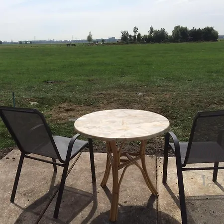 Your Cozy Waggon At The Cows' Paradise * Άμστερνταμ