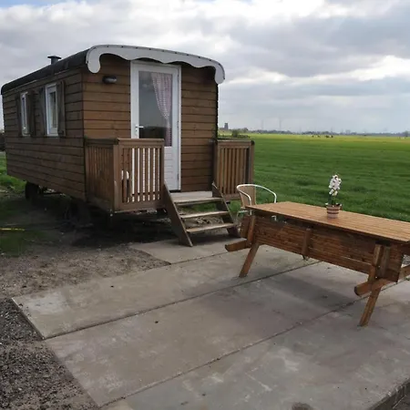 Your Cozy Waggon At The Cows' Paradise Bed & Breakfast *