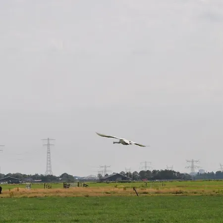 Your Cozy Waggon At The Cows' Paradise Oda ve Kahvaltı