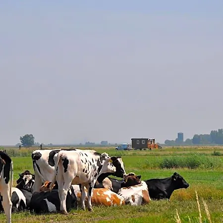 Your Cozy Waggon At The Cows' Paradise