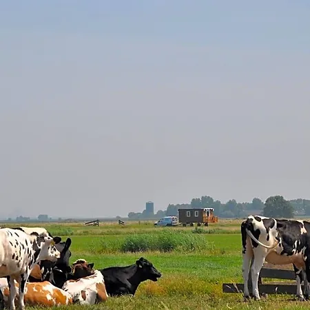 Your Cozy Waggon At The Cows' Paradise Bed & Breakfast