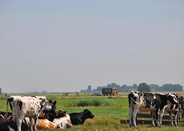 Your Cozy Waggon At The Cows' Paradise *