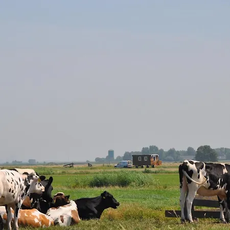 Your Cozy Waggon At The Cows' Paradise *