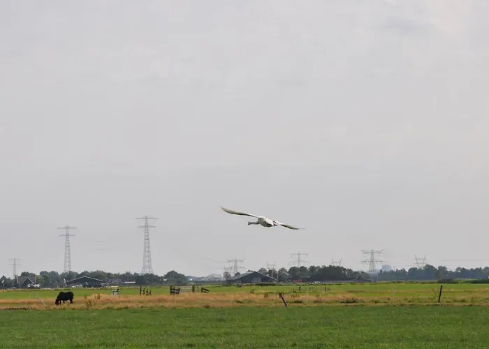 Your Cozy Waggon At The Cows' Paradise ベッド・アンド・ブレックファスト